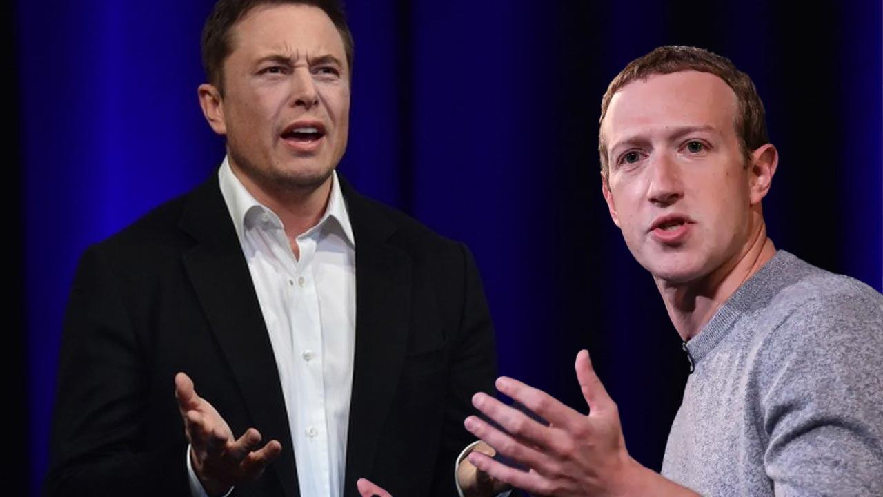 Musk Vs Zuckerberg Si Sfideranno Sul Ring Il 26 Agosto Evosmartit 8558